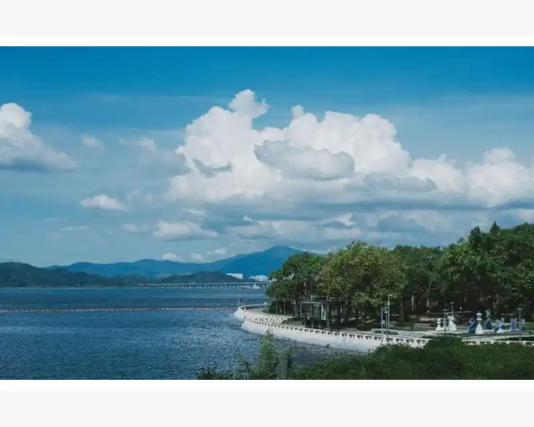 咳嗽化痰吃什么食物好用？