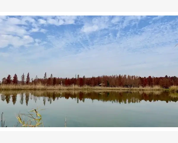 入睡困难：心火与肝火的中药调理